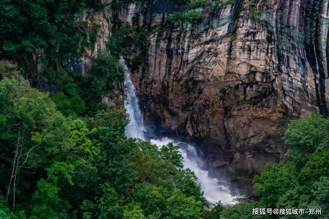 盐和避难所